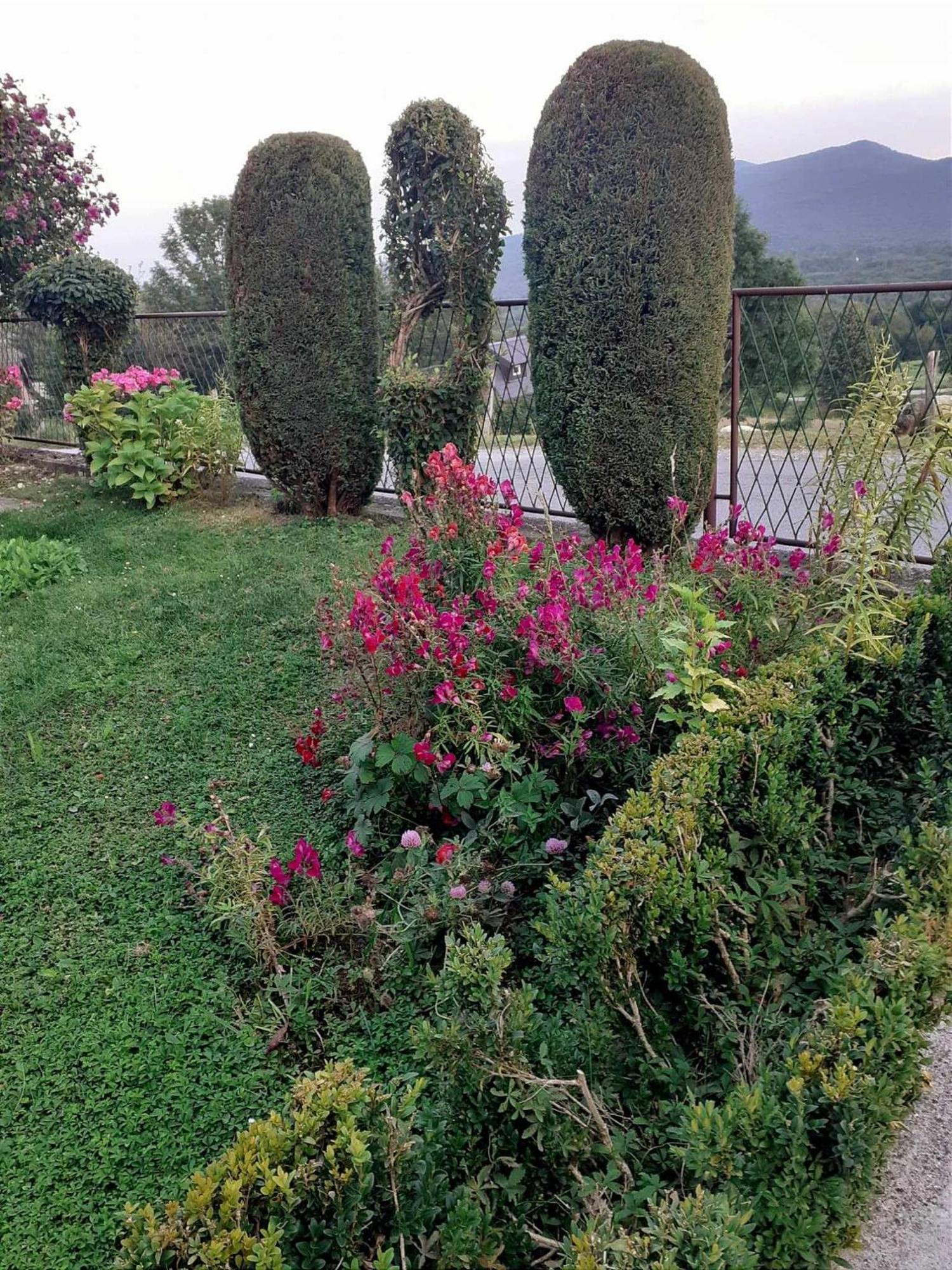 Guesthouse Milka Poljanak Dış mekan fotoğraf