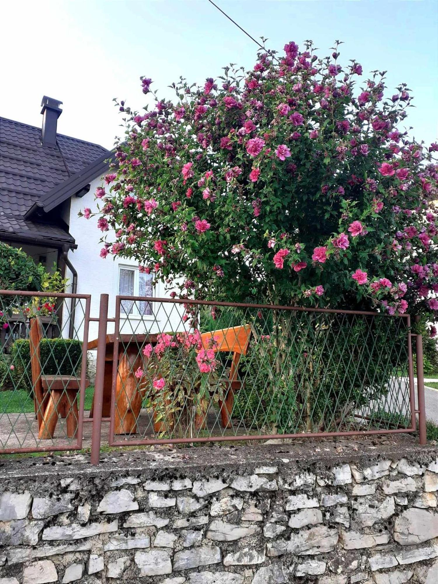 Guesthouse Milka Poljanak Dış mekan fotoğraf